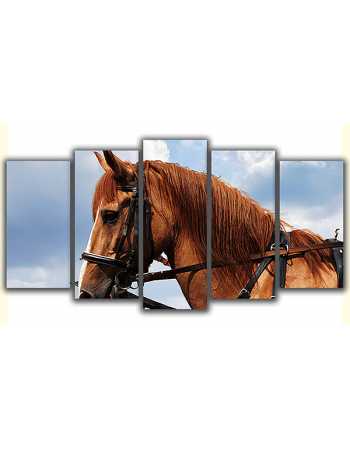 Obraz na płótnie poliptyk Piękny koń