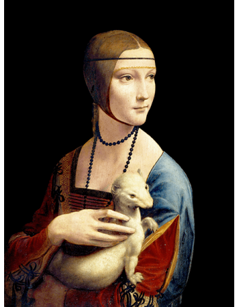 Reprodukcje obrazów Dama z gronostajem - Leonardo da Vinci