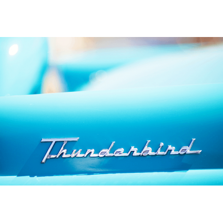Obraz na płótnie Thunderbird