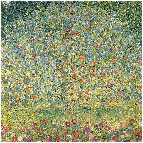 Reprodukcja obrazu Gustav Klimt Apple Tree