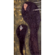 Reprodukcja obrazu Gustav Klimt Nixen