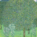 Reprodukcje obrazów Rose Bushes under the Trees - Gustav Klimt