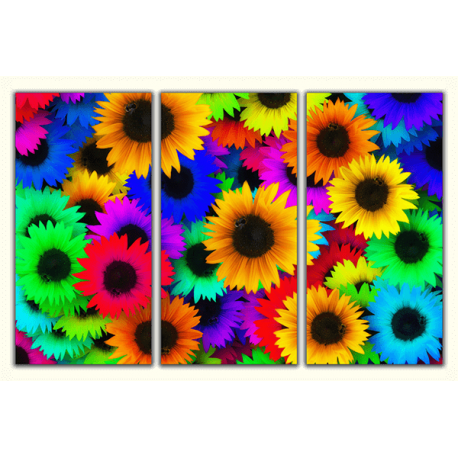 Obraz-na-płótnie-tryptyk-Kolorowe słoneczniki