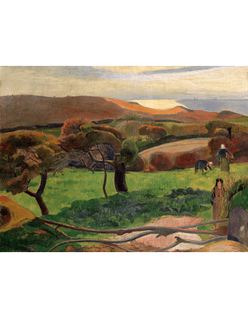 Reprodukcje obrazów Paul Gauguin Fields at the sea