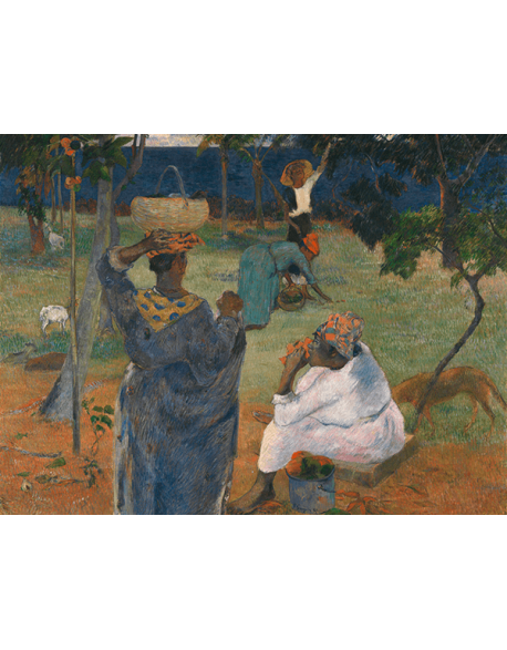 Reprodukcje obrazów Paul Gauguin Fruit Picking, or Among the Mangoes