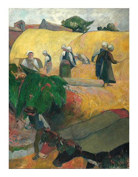 Reprodukcje obrazów Paul Gauguin The Haystacks