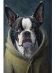 Pies w bluzie - Abstrakcja - obraz na płótnie - fotoobraz - grafika