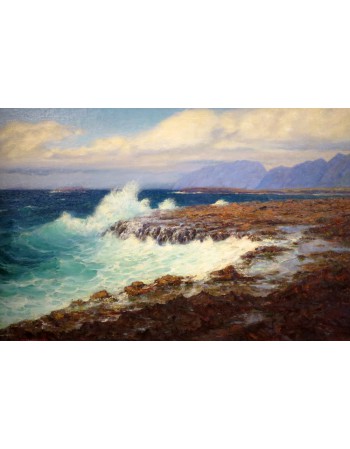Reprodukcja obrazu Marine View Windward Hawaii - Lionel Walden