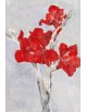 Reprodukcja obrazu Red Gladioli painting in high - Piet Mondrian - obraz