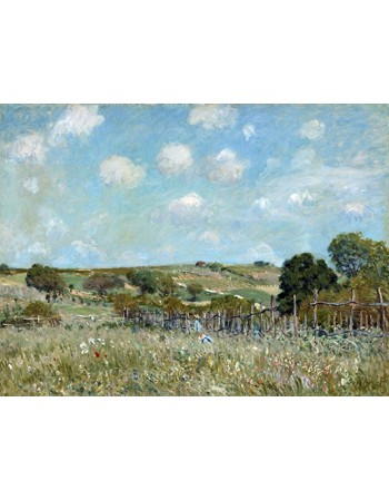 Reprodukcje obrazów Meadow - Alfred Sisley