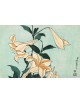 Reprodukcja obrazu Lilies - Katsushika Hokusai - obraz
