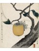 Reprodukcja obrazu Persimmon and grasshopper - Katsushika Hokusai - obraz