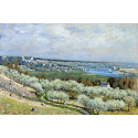 Reprodukcje obrazów The Terrace at Saint-Germain, Spring - Alfred Sisley