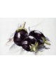 Reprodukcja obrazu Eggplants – Charles Demuth - obraz