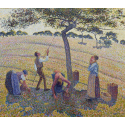 Reprodukcje obrazów Apple Harvest - Camille Pissarro