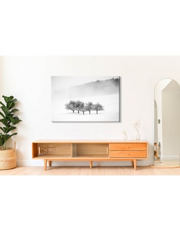 Obraz na płótnie Drzewa w zimowej scenerii fotoobraz