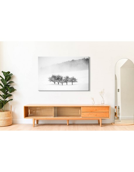 Obraz na płótnie Drzewa w zimowej scenerii fotoobraz