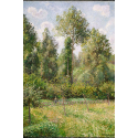 Reprodukcje obrazów Poplars, Éragny - Camille Pissarro