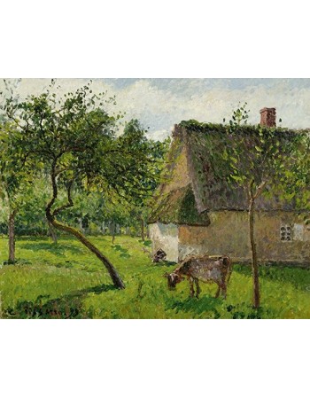 Reprodukcje obrazów Verger à Varengeville avec vache - Camille Pissarro