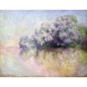 Reprodukcje obrazów Île aux Orties near Vernon - Claude Monet