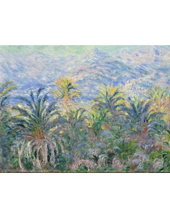 Reprodukcje obrazów Palm Trees at Bordighera - Claude Monet