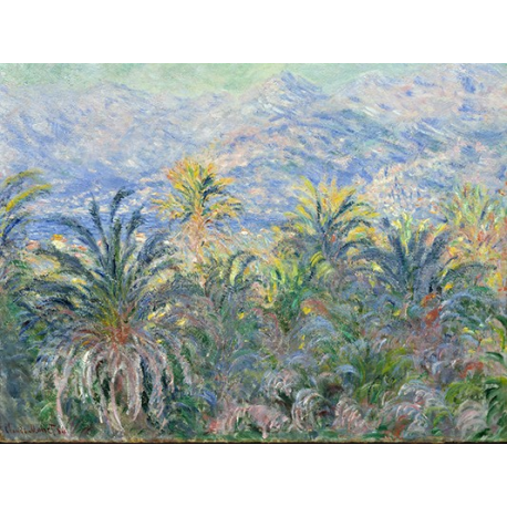 Palm Trees at Bordighera