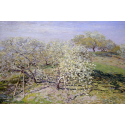 Reprodukcje obrazów Spring - Claude Monet