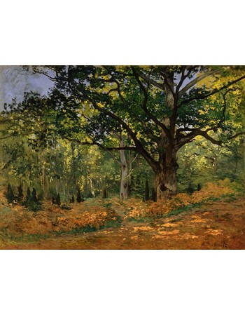 Reprodukcje obrazów The Bodmer Oak, Fontainebleau Forest - Claude Monet