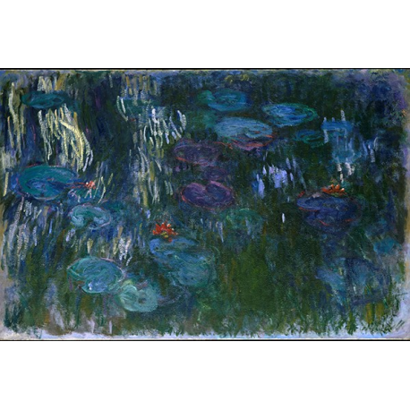 Water Lilies_1