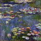 Reprodukcja obrazu obraz Water Lilies_3